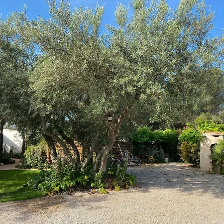 Les De La Pinede Holiday home